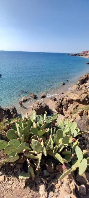 Appartement Vue Mer Sète Esterno foto